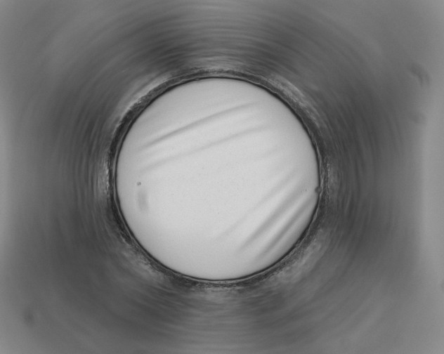 X0000113320782200910131127