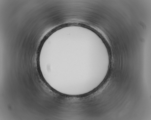 X0000113320783200910131127