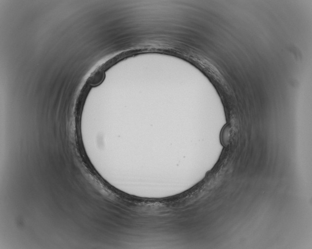 X0000113320784200910131127