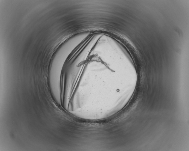 X0000113320785200910131127