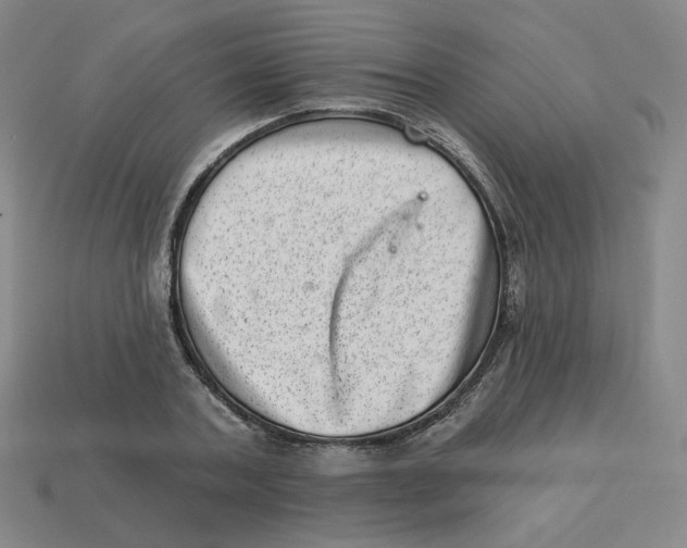 X0000113320787200910131127