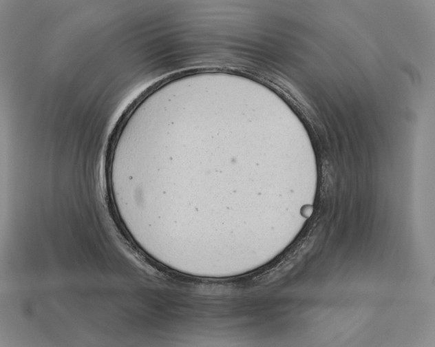 X0000113320788200910131127