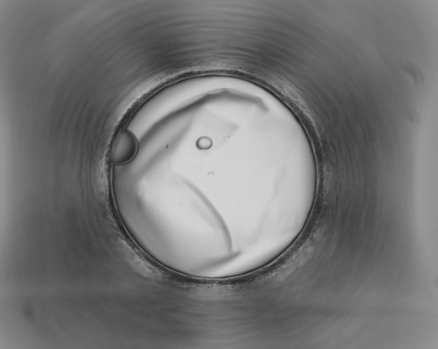 X0000113320789200910131127