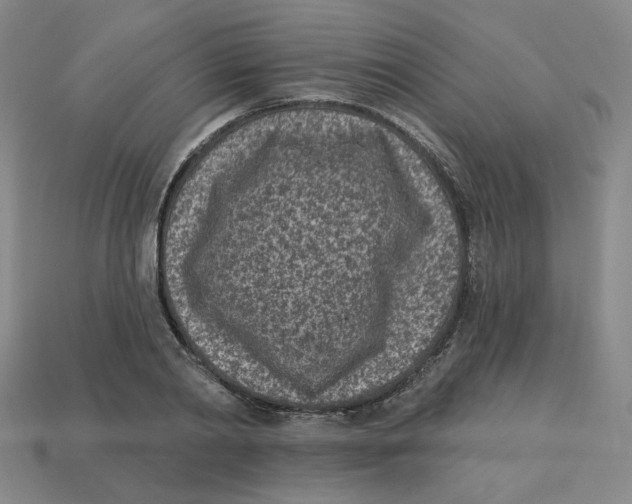 X0000113320790200910131127