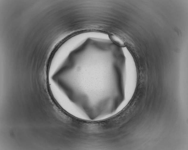 X0000113320792200910131127