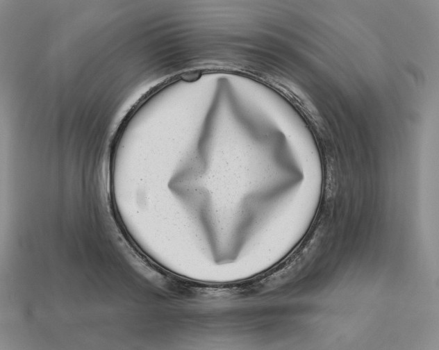 X0000113320796200910131127