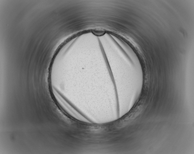 X0000113320799200910131127