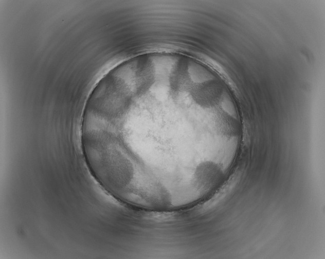 X0000113320802200910131127