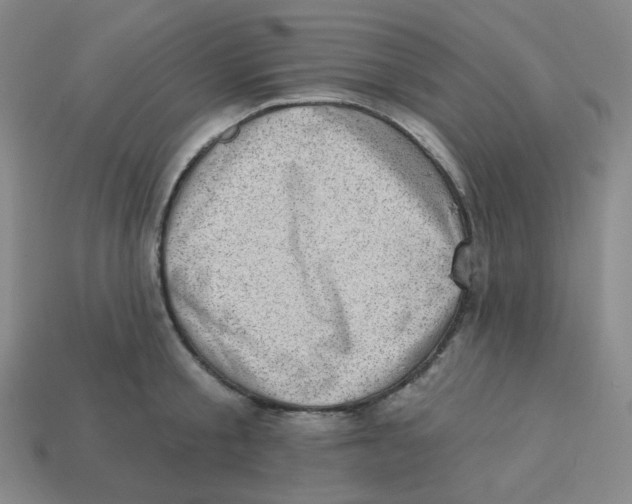 X0000113320805200910131127