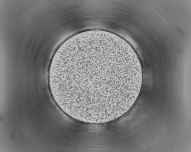 X0000113320807200910131127