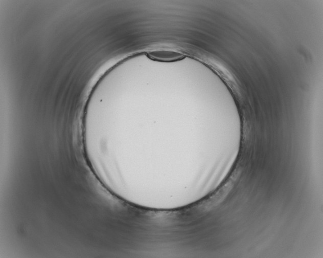 X0000113320808200910131127