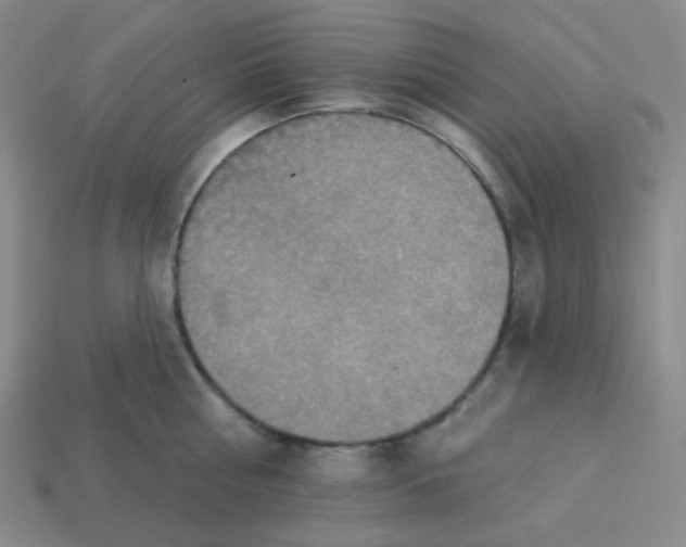 X0000113320810200910131127