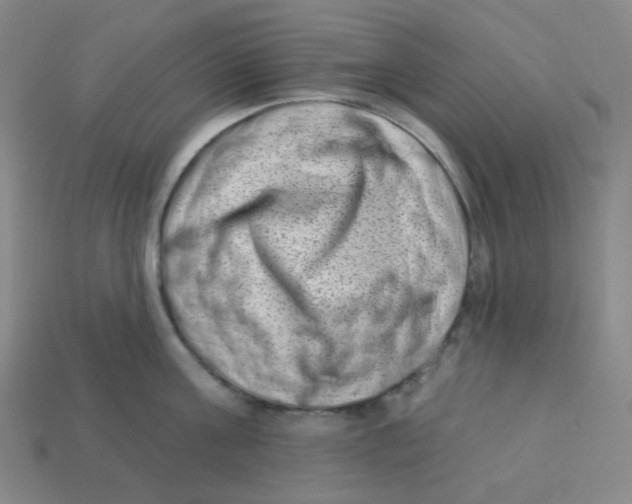 X0000113320811200910131127