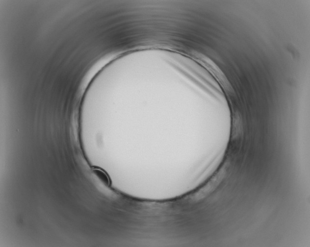 X0000113320812200910131127