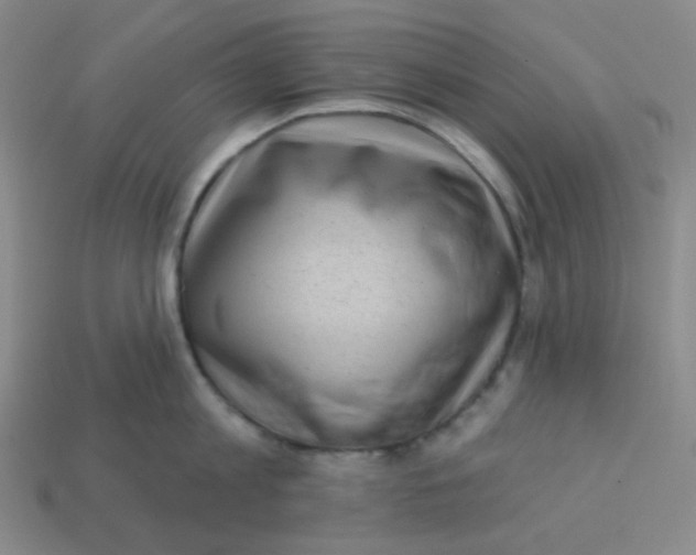 X0000113320813200910131127