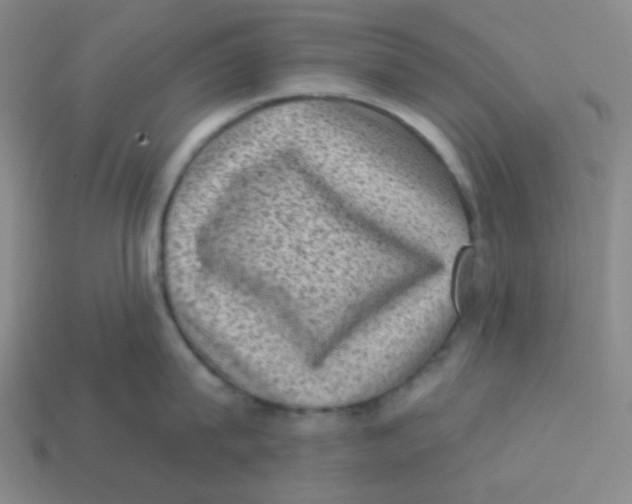 X0000113320815200910131127