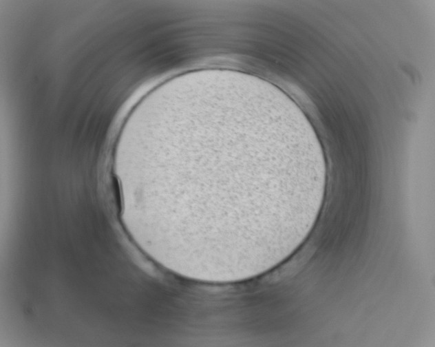 X0000113320816200910131127