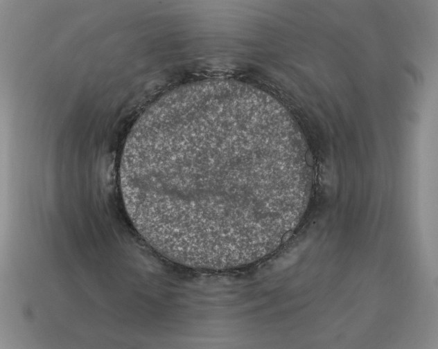 X0000113320818200910131126