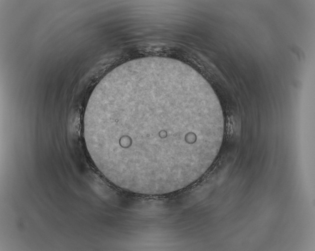 X0000113320820200910131126