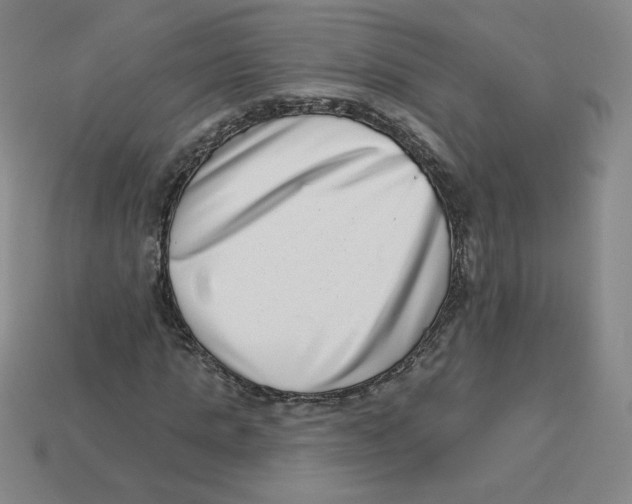 X0000113320821200910131126