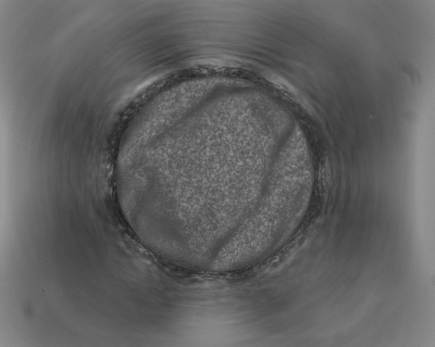 X0000113320822200910131126