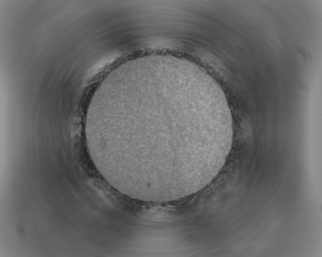 X0000113320824200910131126