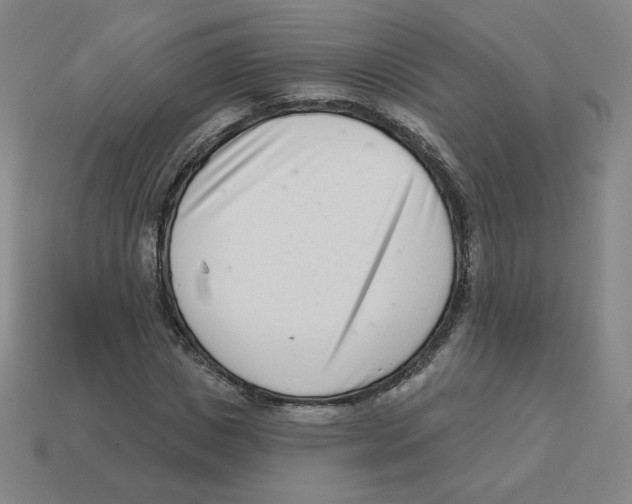 X0000113320825200910131126