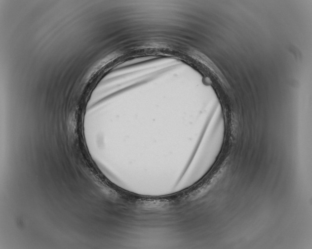 X0000113320826200910131126