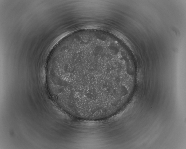 X0000113320829200910131126