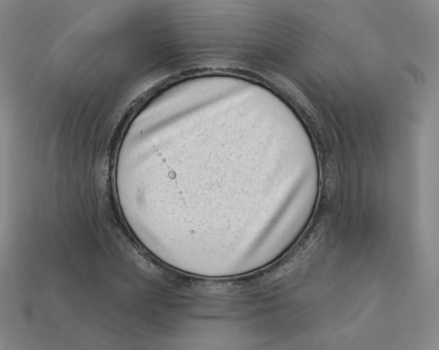 X0000113320831200910131126