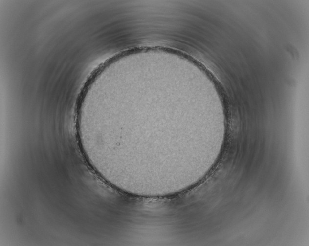 X0000113320832200910131126