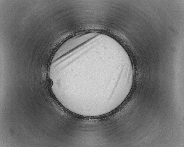 X0000113320833200910131127