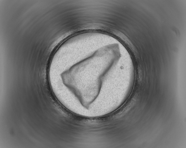 X0000113320834200910131127