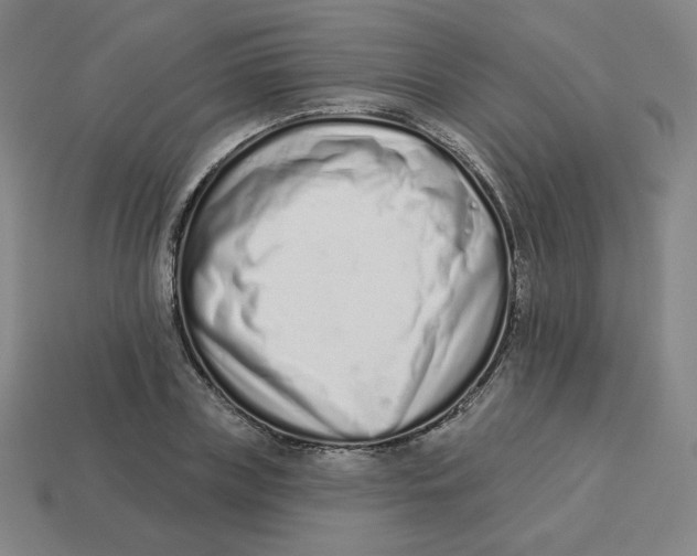 X0000113320835200910131127