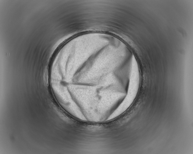 X0000113320838200910131127