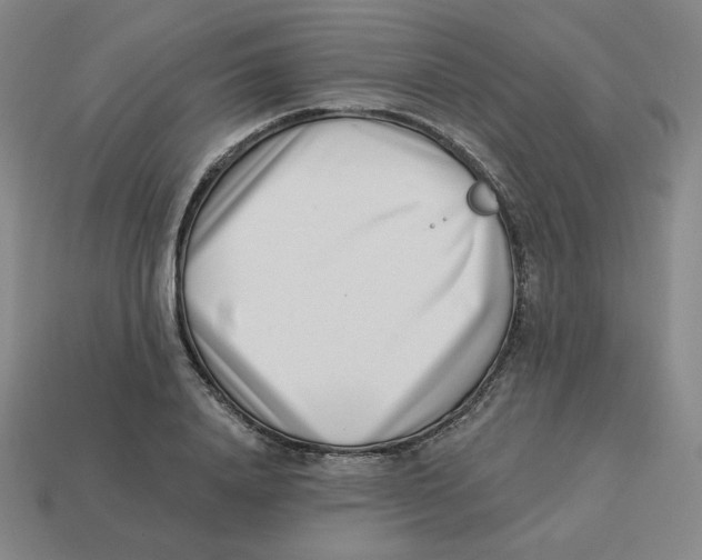 X0000113320840200910131127