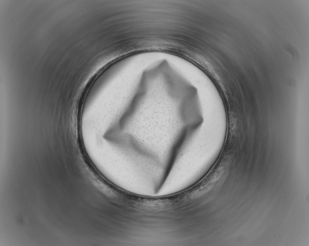 X0000113320843200910131127