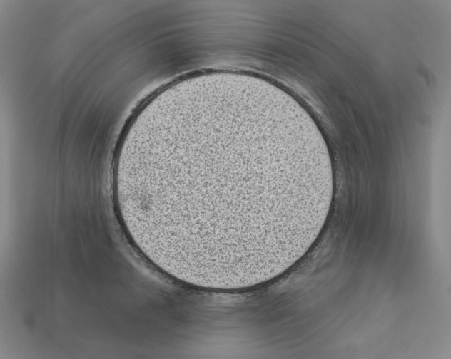 X0000113320848200910131127