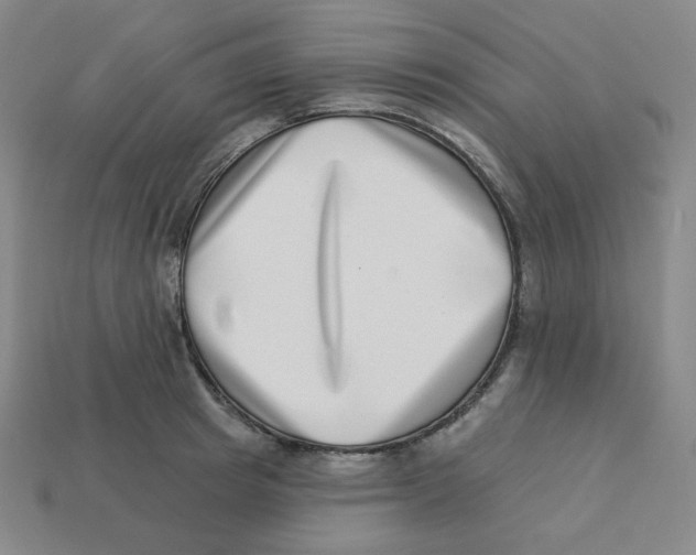 X0000113320849200910131127