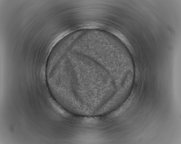 X0000113320850200910131127