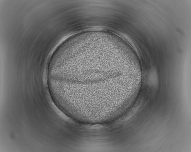 X0000113320851200910131127