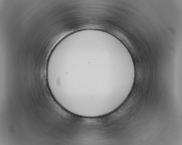 X0000113320852200910131127