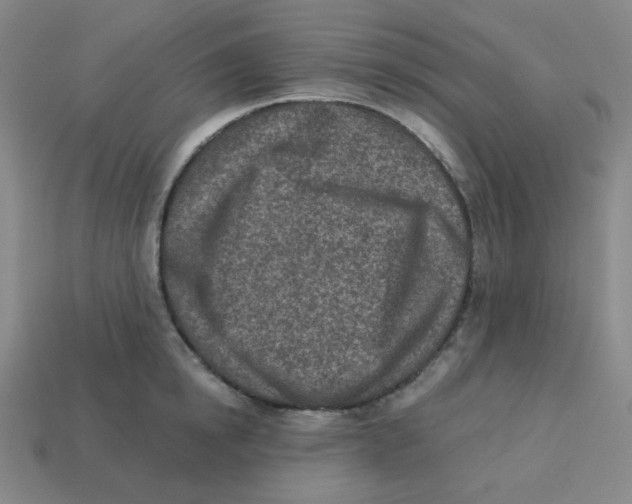 X0000113320854200910131127