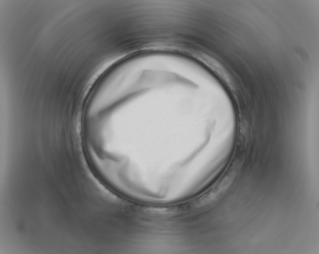 X0000113320855200910131127