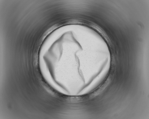 X0000113320858200910131127