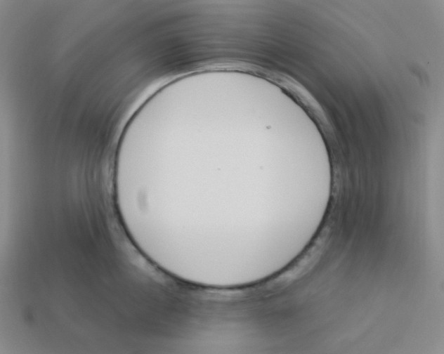 X0000113320860200910131127