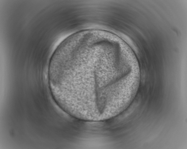 X0000113320863200910131127