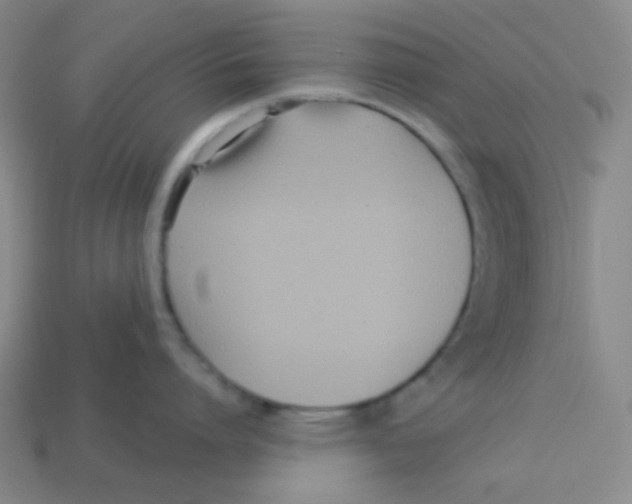 X0000113320864200910131127