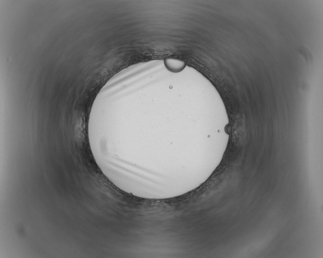 X0000113320866200910131126