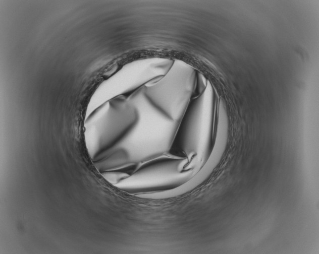 X0000113320869200910131126